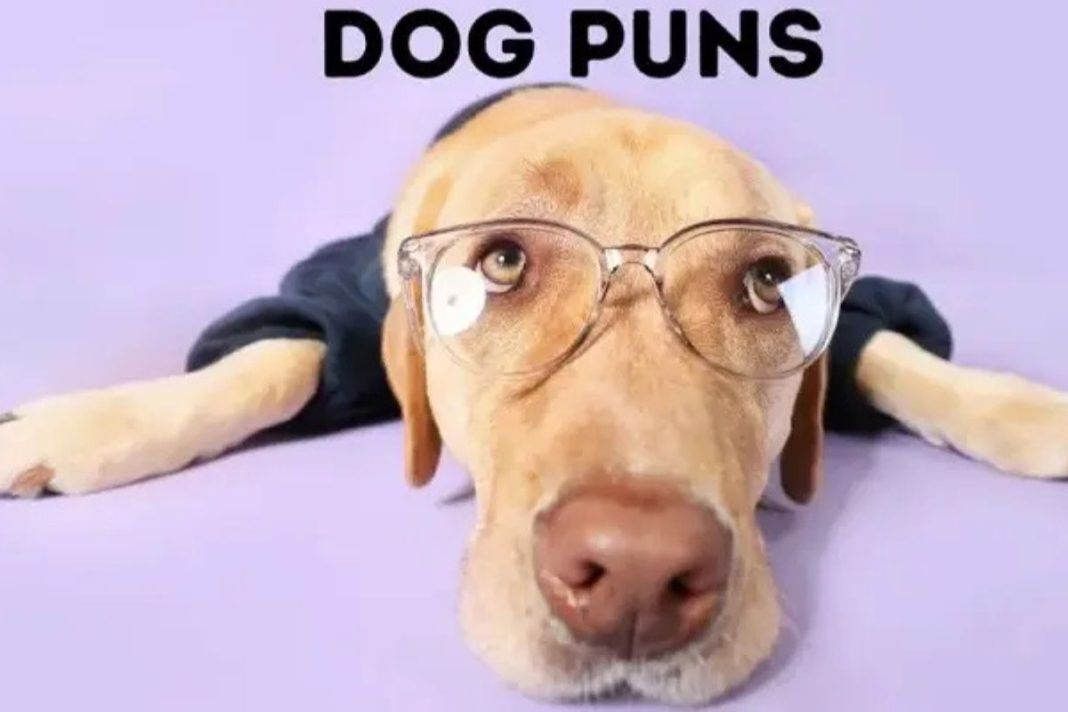 Pawsitively Hilarious Dog Puns for Every Occasion