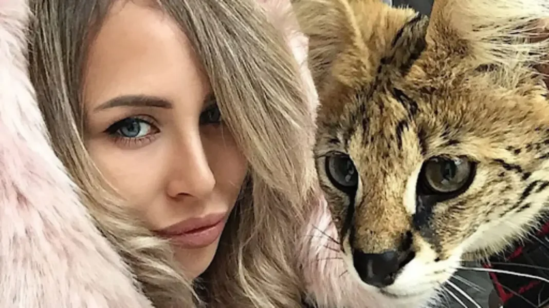 Big Cat Wife